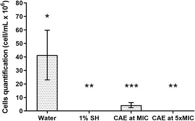 Anti-biofilm Action of Chenopodium ambrosioides Extract, Cytotoxic Potential and Effects on Acrylic Denture Surface